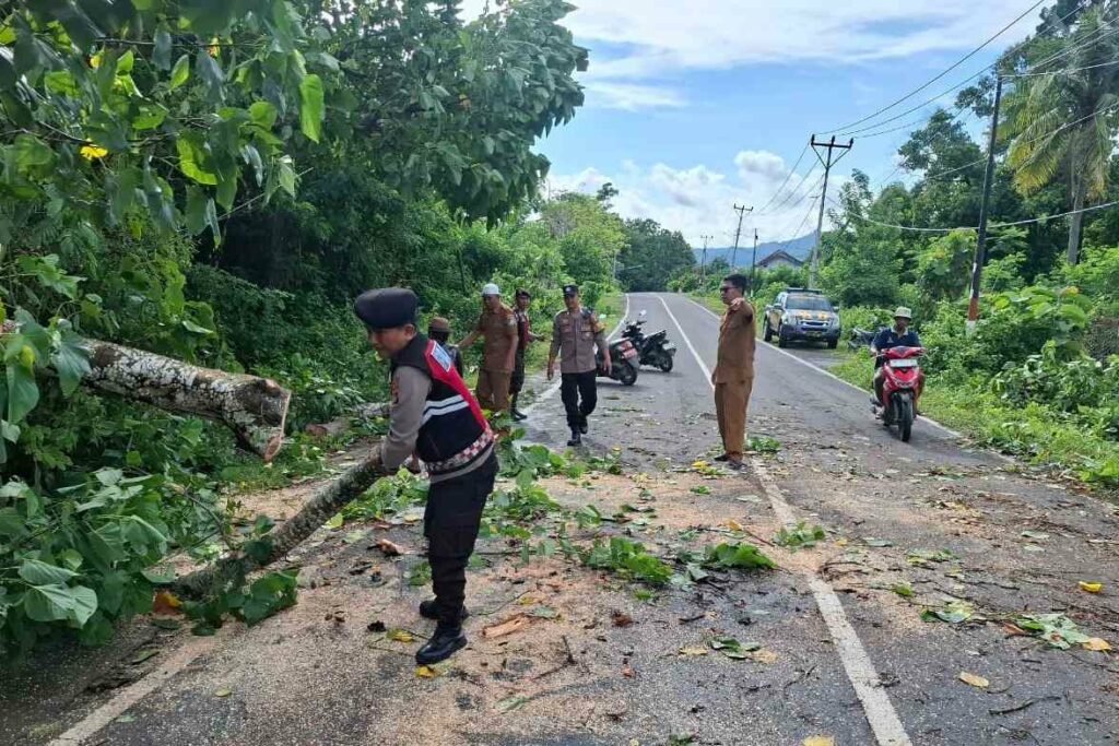 Keselamatan Prioritas: Polsek Sekotong Amankan dan Bersihkan Pohon Tumbang