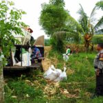 WhatsApp Image 2025-12-01 at 09.42.43