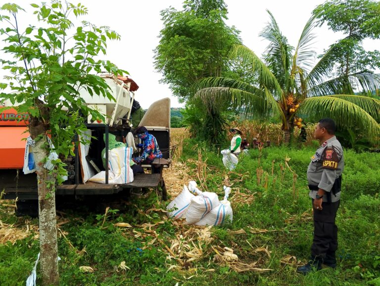 WhatsApp Image 2025-12-01 at 09.42.43