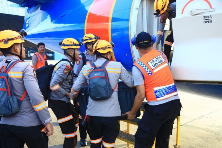 WhatsApp Image 2025-12-01 at 11.43.22