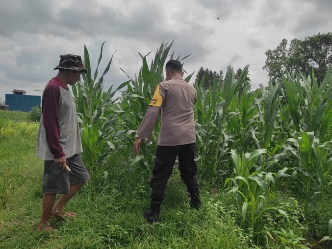 Sinergi Polri-Masyarakat: Pekarangan Warga Lombok Barat Diubah Jadi Sumber Pangan