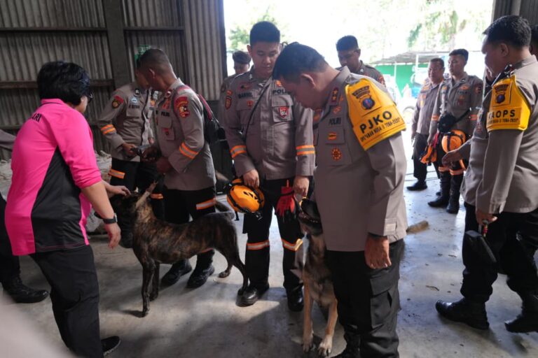 WhatsApp Image 2025-12-02 at 16.17.12