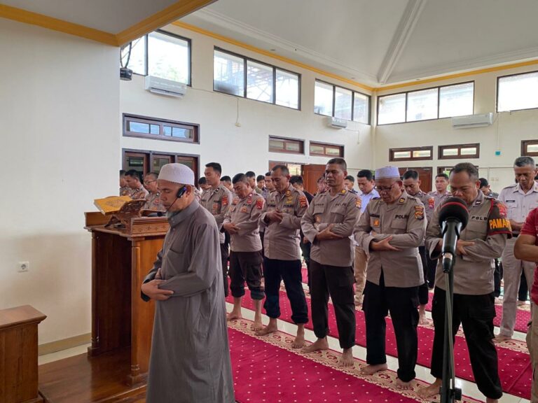 WhatsApp Image 2025-12-04 at 10.19.48 (1)