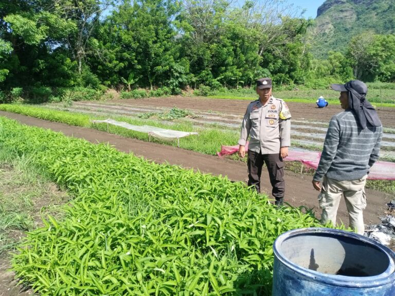 WhatsApp Image 2025-12-07 at 10.46.38