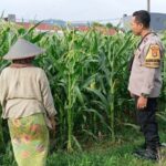 Peran Bhabinkamtibmas Kian Vital, Kawal Program Ketahanan Pangan di Desa Labuapi