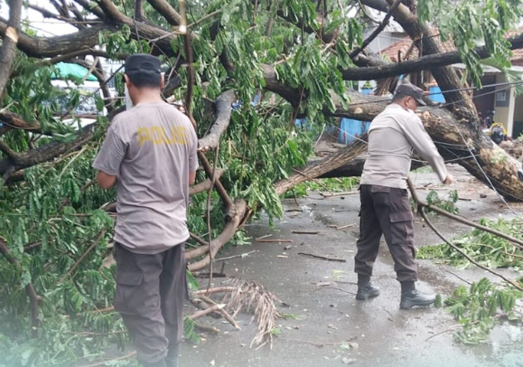 WhatsApp Image 2025-12-09 at 10.22.10