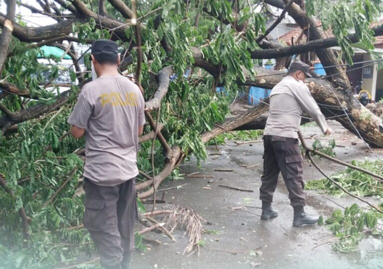 WhatsApp Image 2025-12-09 at 10.22.10