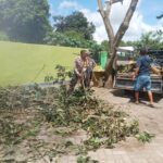 WhatsApp Image 2025-12-11 at 12.38.38 (1) (1)