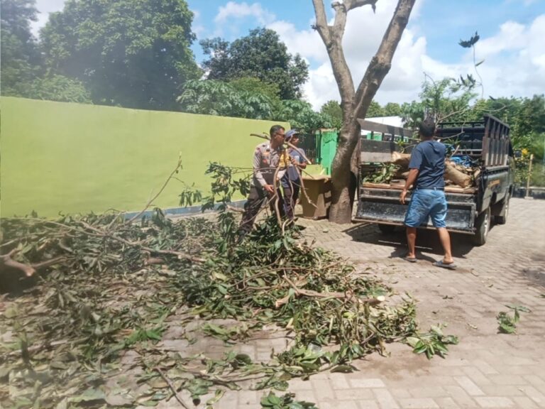 WhatsApp Image 2025-12-11 at 12.38.38 (1) (1)