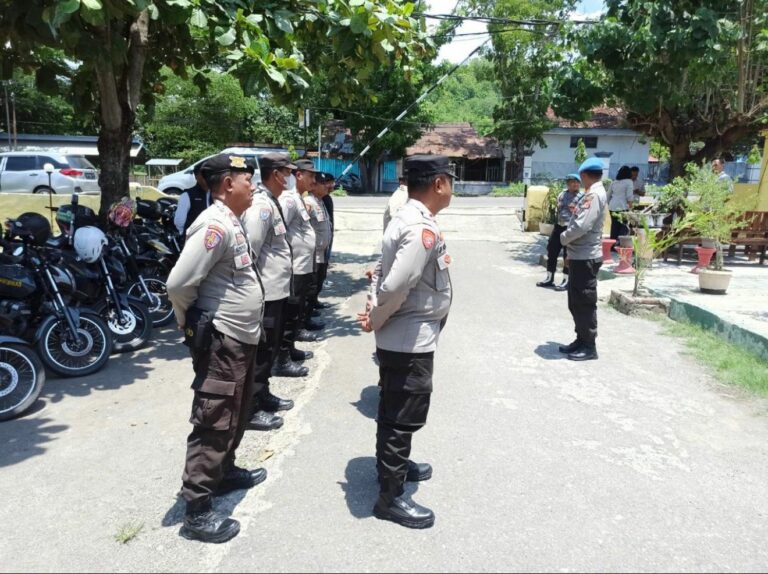 WhatsApp Image 2025-12-12 at 15.41.55