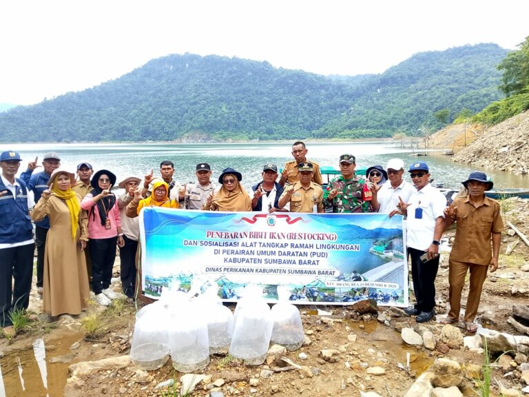 WhatsApp Image 2025-12-16 at 09.03.28