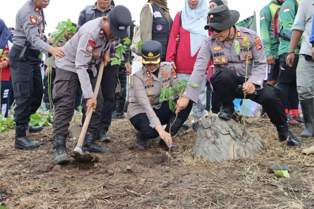 WhatsApp Image 2025-12-16 at 14.31.42