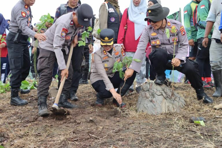 WhatsApp Image 2025-12-16 at 14.31.42