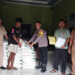 WhatsApp Image 2025-12-16 at 22.45.04