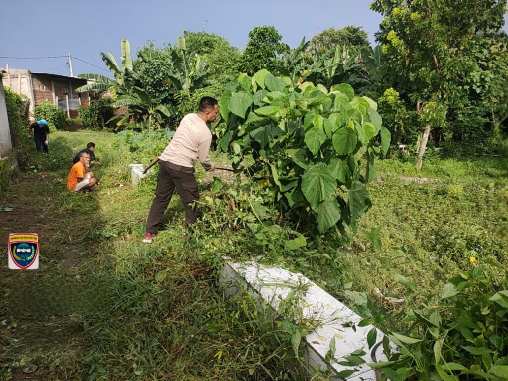 WhatsApp Image 2025-12-19 at 09.09.17 (1)