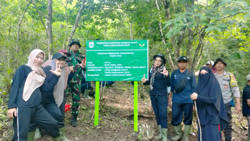 WhatsApp Image 2025-12-19 at 10.46.02