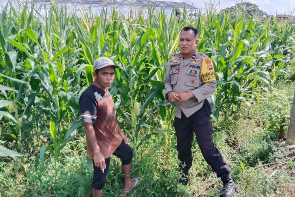 Polsek Labuapi Motivasi Petani di Desa Bagik Polak