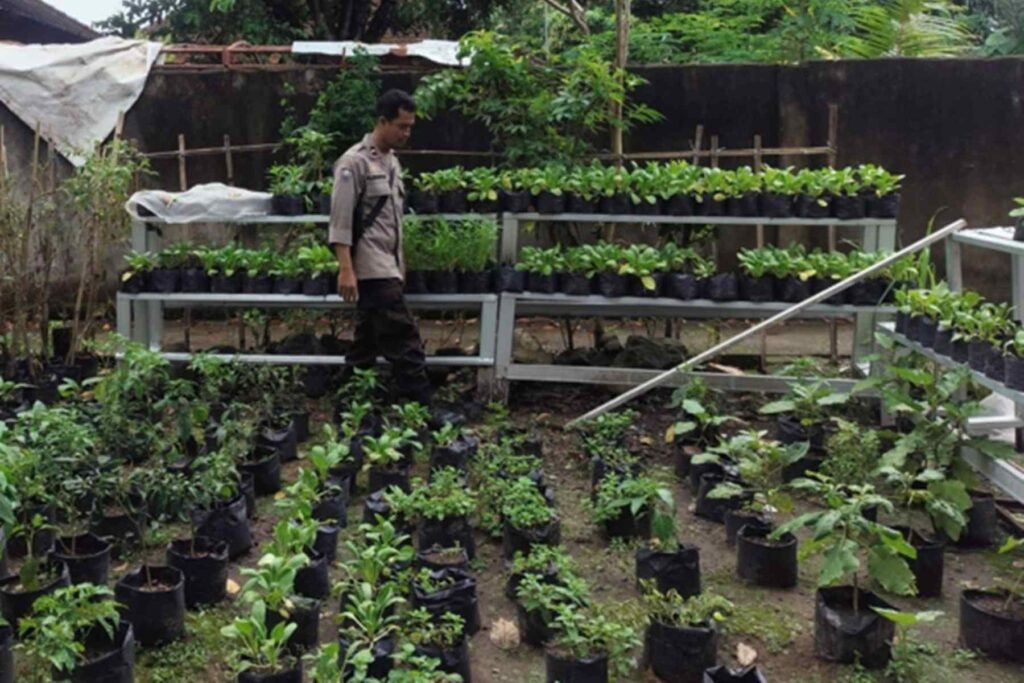 Polsek Labuapi Dorong Ketahanan Pangan di Desa Bengkel