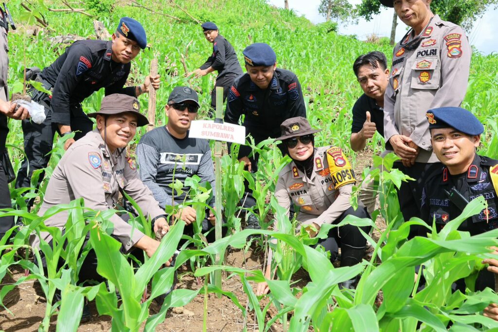 WhatsApp Image 2025-12-29 at 12.30.30