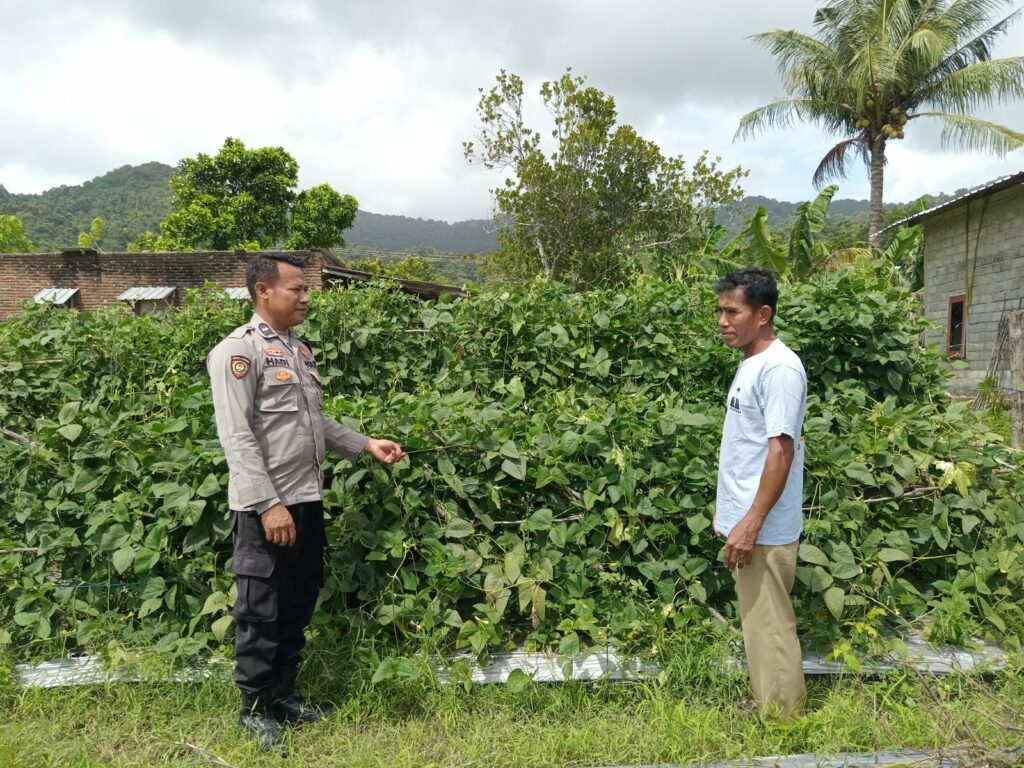 WhatsApp Image 2025-12-30 at 09.02.15