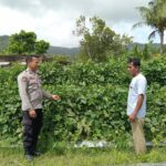 WhatsApp Image 2025-12-30 at 09.02.15