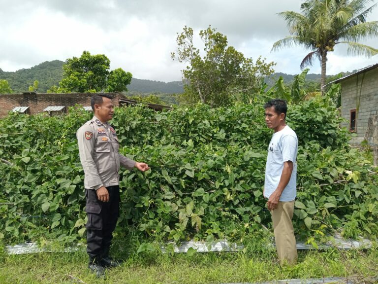 WhatsApp Image 2025-12-30 at 09.02.15