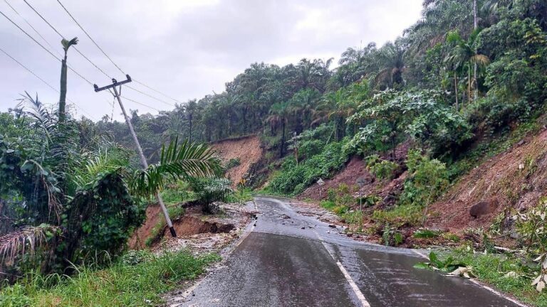 WhatsApp Image 2025-12-30 at 19.11.56