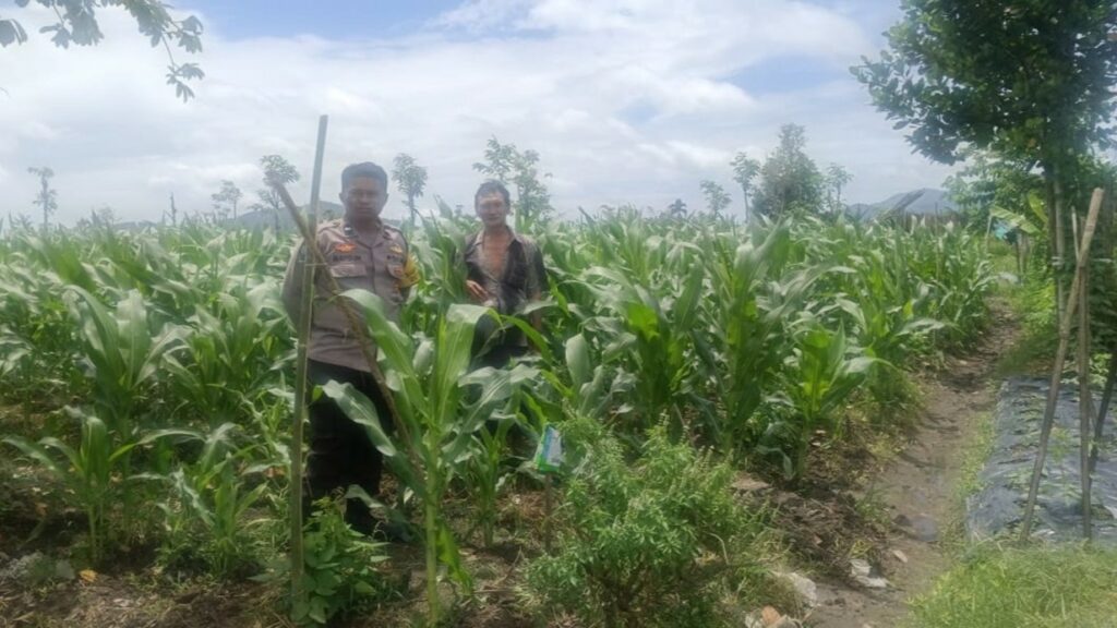 c8ff0c60-1423-4178-851e-1b96808871aa