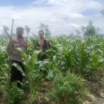 c8ff0c60-1423-4178-851e-1b96808871aa