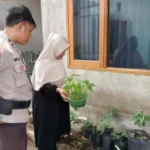 Ketahanan Pangan Langkah Nyata Polres Lombok Barat di Desa Meninting