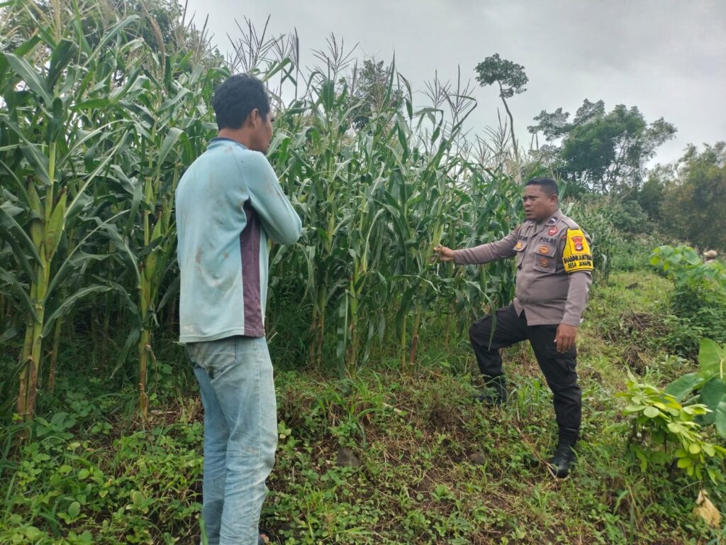 379bc31a-0150-46ee-a349-decbc3646fbd