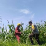 Polres Lobar Dorong Pemanfaatan Lahan di Kuranji Dalang