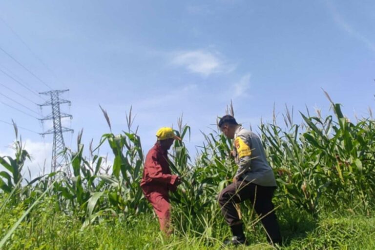 Polres Lobar Dorong Pemanfaatan Lahan di Kuranji Dalang