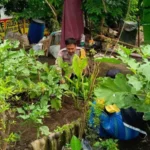 Inovasi Desa Perampuan: Sulap Lahan Sempit Jadi Greenhouse Produktif