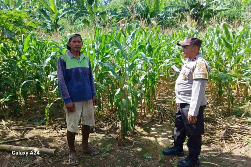 Polsek Gerung Dorong Pemanfaatan Lahan Pekarangan di Giri Tembesi