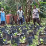 Upaya Desa Batulayar Wujudkan Kemandirian Pangan Lewat Greenhouse