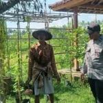 Dukung Ketahanan Pangan, Bhabinkamtibmas Lembahsari Edukasi Warga