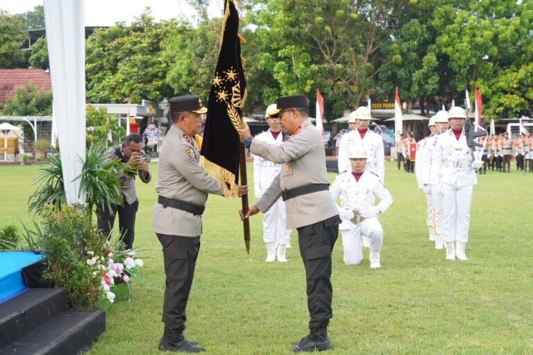 WhatsApp Image 2025-12-31 at 23.01.53