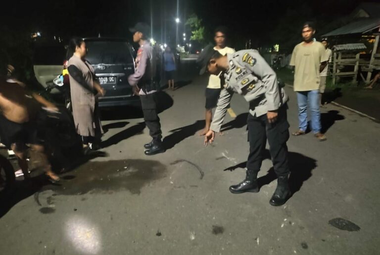 WhatsApp Image 2026-01-01 at 08.24.17