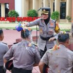 WhatsApp Image 2026-01-01 at 12.04.11