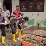 WhatsApp Image 2026-01-05 at 15.06.54 (1)