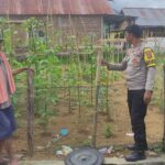 WhatsApp Image 2026-01-06 at 09.18.44