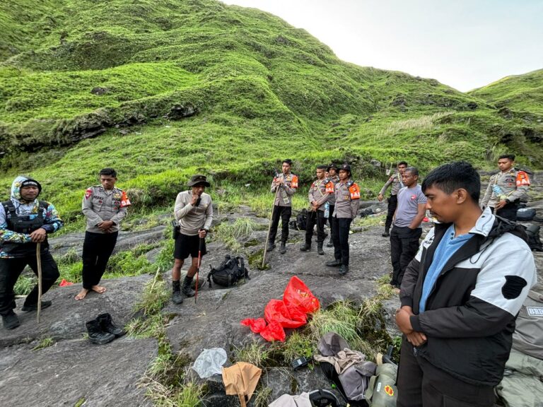 WhatsApp Image 2026-01-06 at 17.16.41