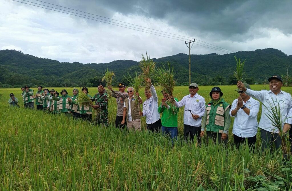 WhatsApp Image 2026-01-07 at 21.52.38