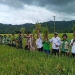 WhatsApp Image 2026-01-07 at 21.52.38