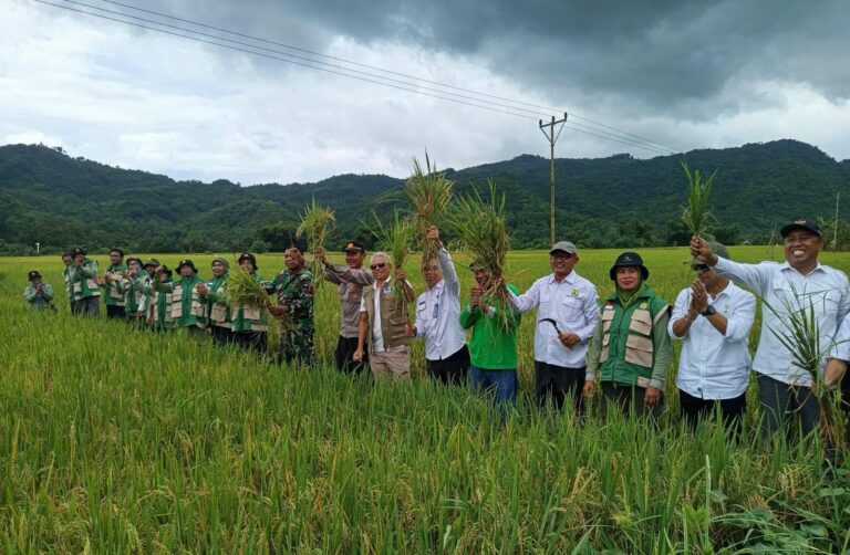 WhatsApp Image 2026-01-07 at 21.52.38