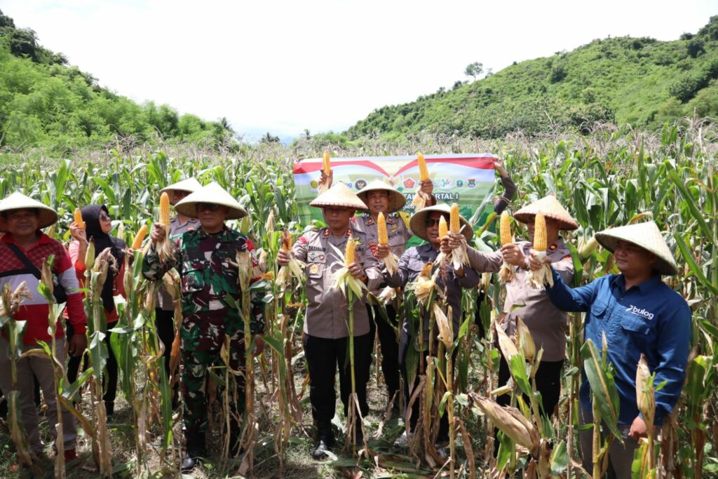 WhatsApp Image 2026-01-08 at 12.15.42