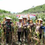 WhatsApp Image 2026-01-08 at 12.15.42