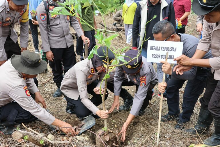 WhatsApp Image 2026-01-08 at 16.31.52