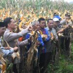 WhatsApp Image 2026-01-08 at 22.20.25